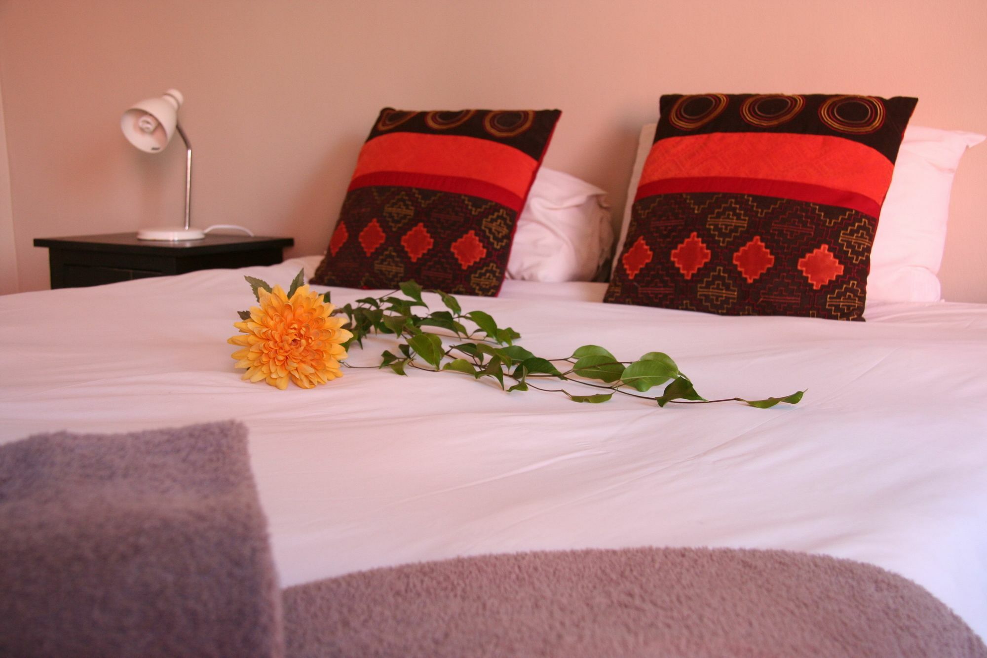 Dunedin Star Guesthouse Swakopmund Exteriör bild